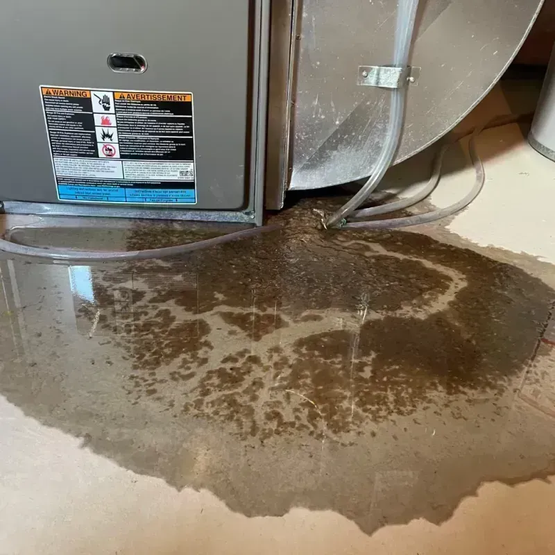 Appliance Leak Cleanup in Harris, MN